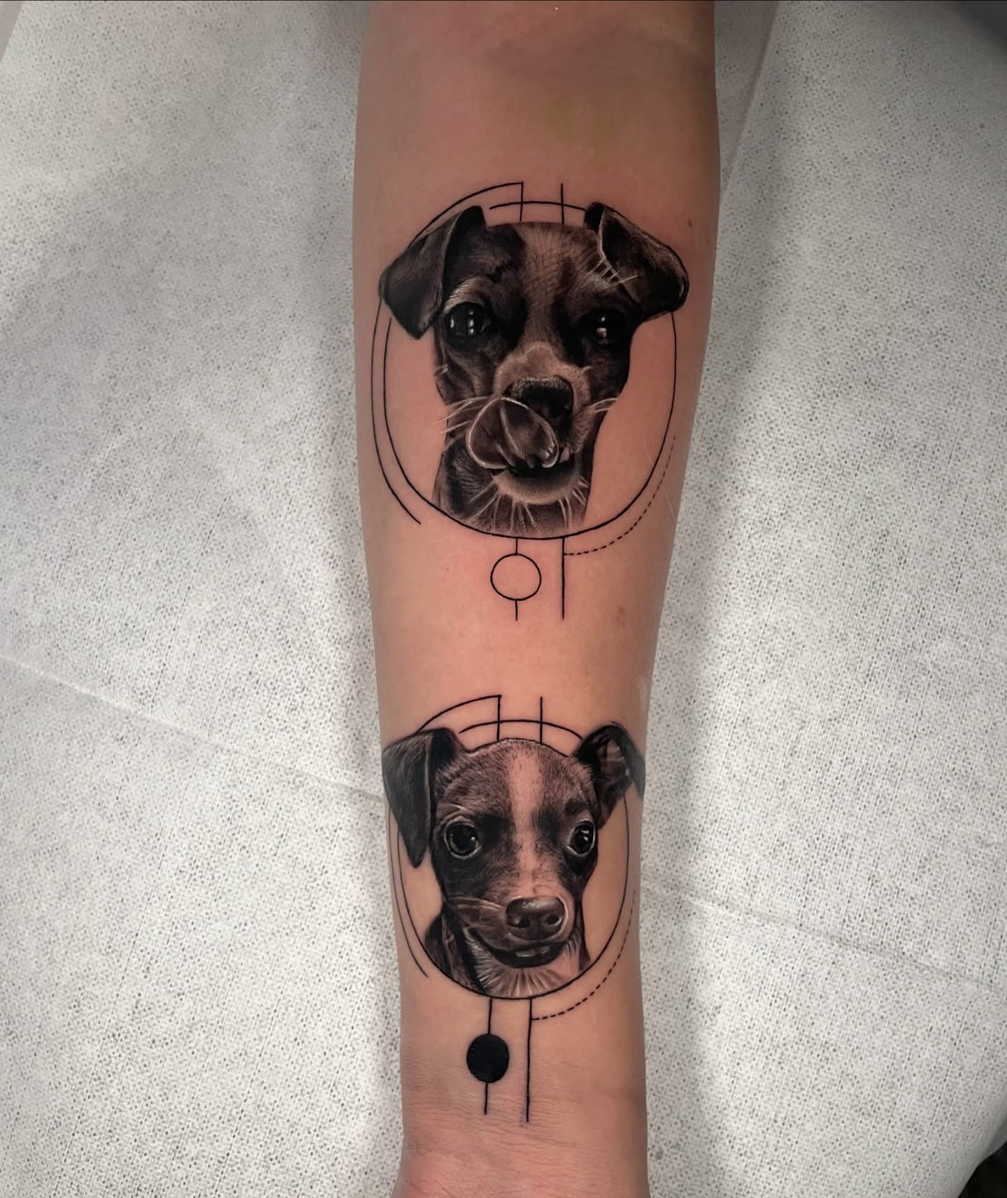 Tattoo by Alejo Tattoo, 8