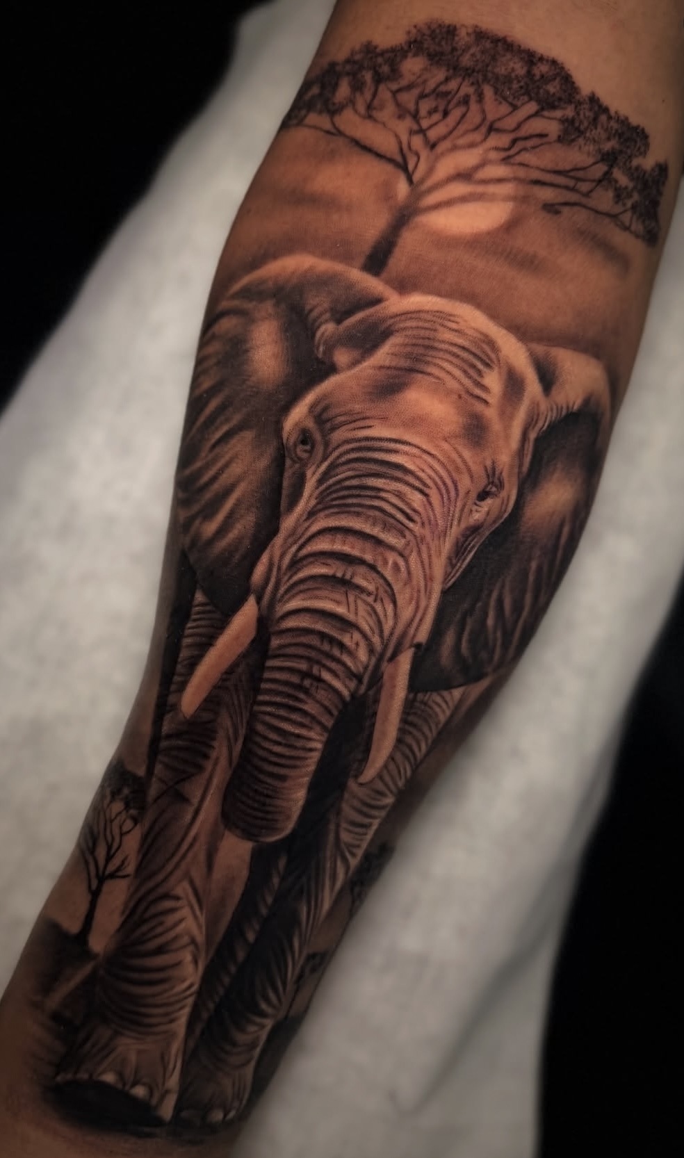 Tattoo by James, 17